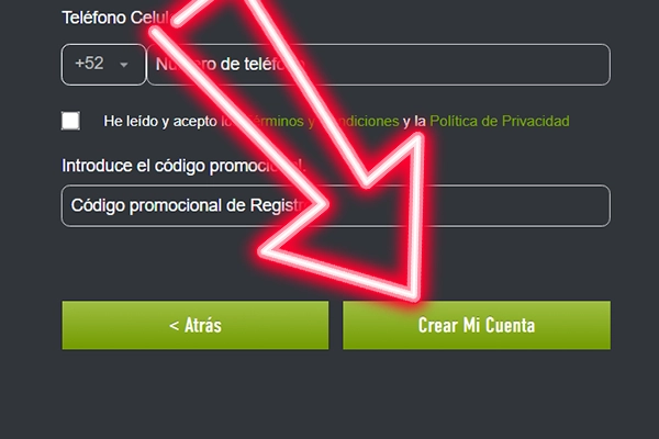step 8