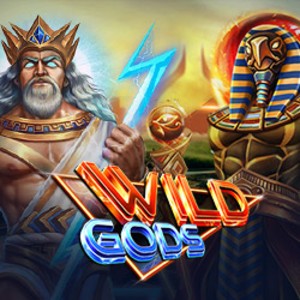Wild Gods