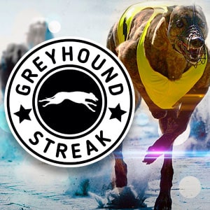 Greyhound Streak
